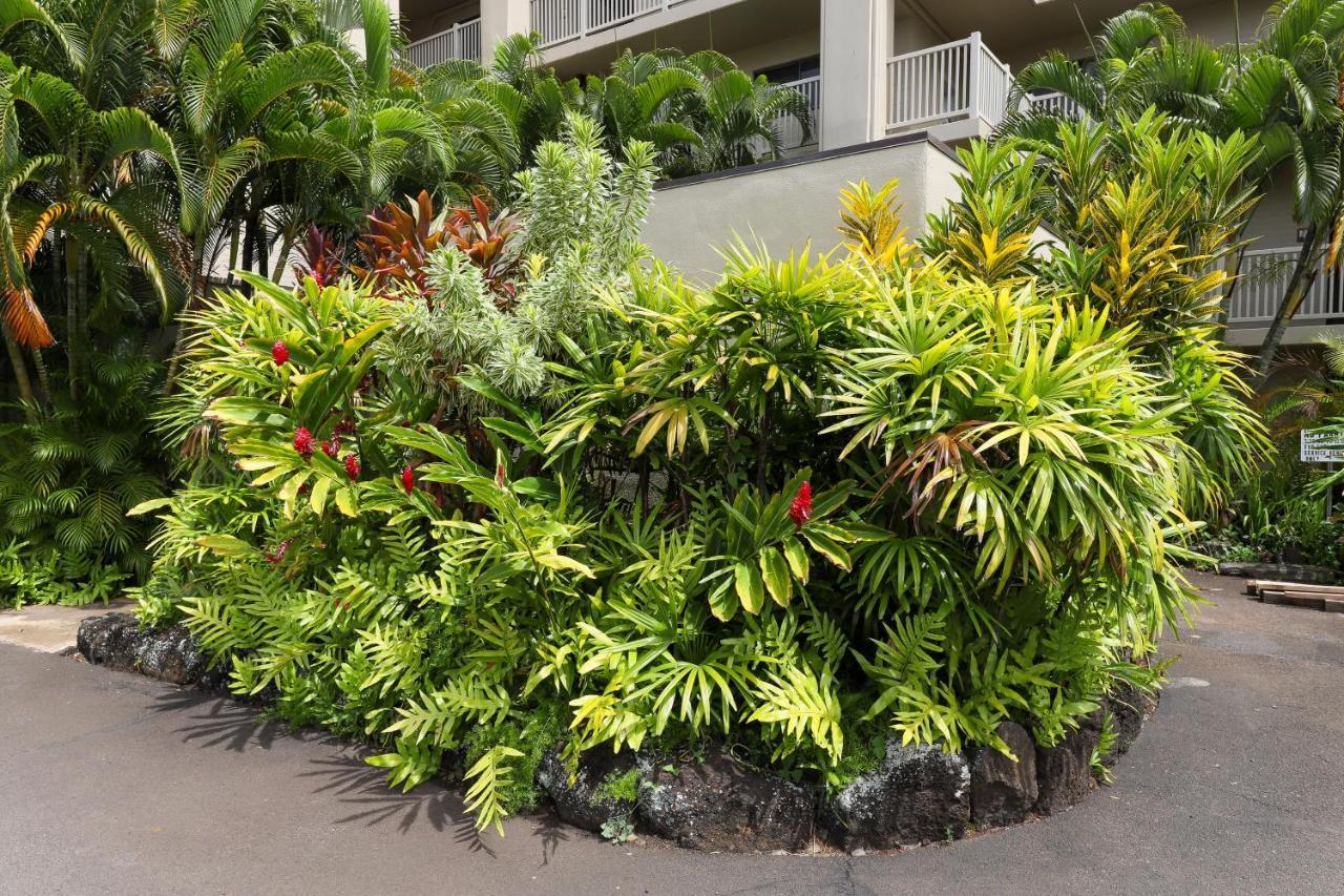 Kuhio Shores 107 Kukuiula 外观 照片